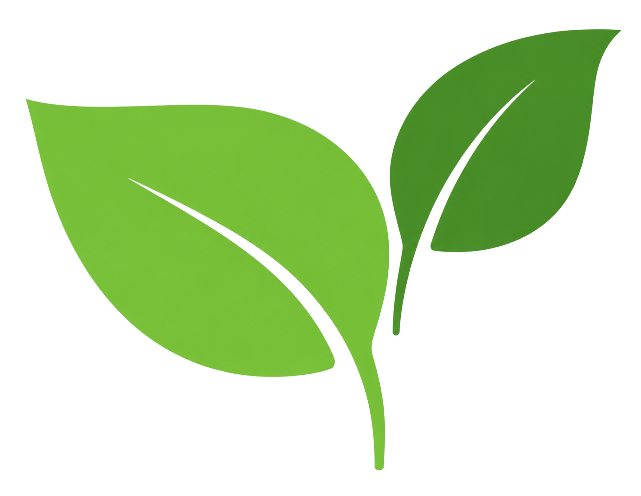 순우리교회 순복음 기독교 대한 하나님의 성회 온라인 예배 가정 예배 혼자 일인 쏠로 익숙한 환경 평안하게 내방 방구석예배